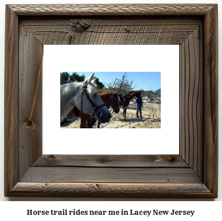 horse trail rides near me in Lacey, New Jersey